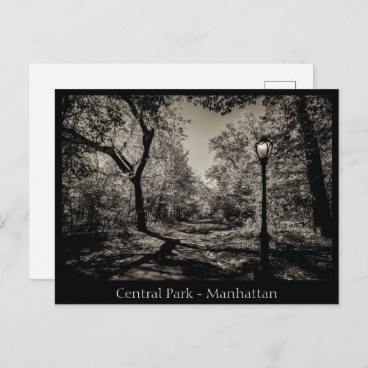 Central Park Manhattan in Black en White Briefkaart (Voorkant / Achterkant)