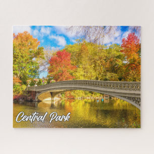 Central Park, Manhattan, New York, Verenigde State Legpuzzel
