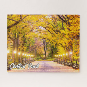 Central Park, Manhattan, New York, Verenigde State Legpuzzel