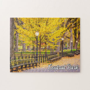 Central Park, Manhattan, New York, Verenigde State Legpuzzel