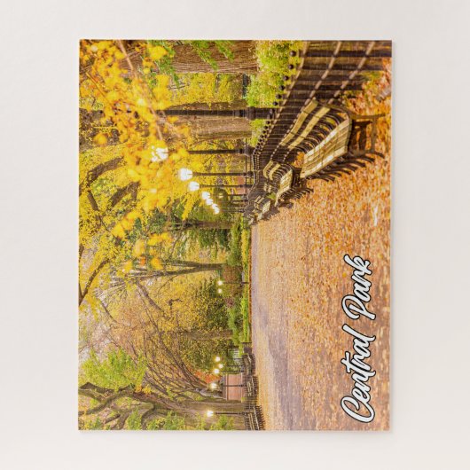 Central Park, Manhattan, New York, Verenigde State Legpuzzel (Verticaal)