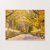 Central Park, Manhattan, New York, Verenigde State Legpuzzel (Horizontaal)