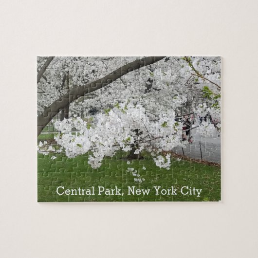 Central Park New York Blossoming Tree in Spring Legpuzzel (Horizontaal)