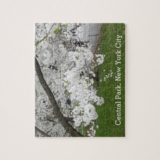 Central Park New York Blossoming Tree in Spring Legpuzzel (Verticaal)