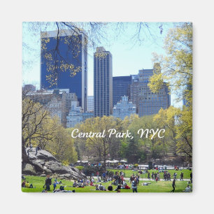 Central Park, New York City Magneet