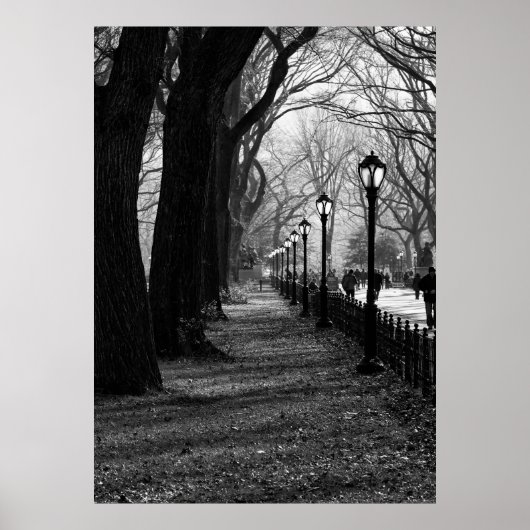 Central Park, New York City Poster (Voorkant)