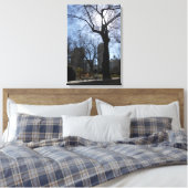 Central Park, New York City, Verenigde Staten Canvas Afdruk (Insitu (Slaapkamer))