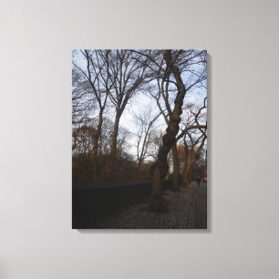 Central Park, New York City, Verenigde Staten Canvas Afdruk