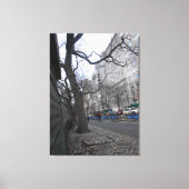 Central Park, New York City, Verenigde Staten Canvas Afdruk (Voorkant)