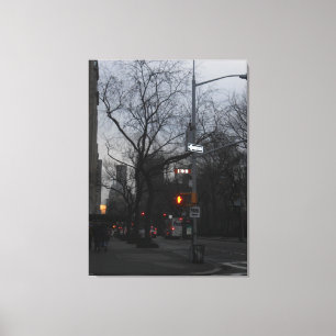 Central Park, New York City, Verenigde Staten Canvas Afdruk