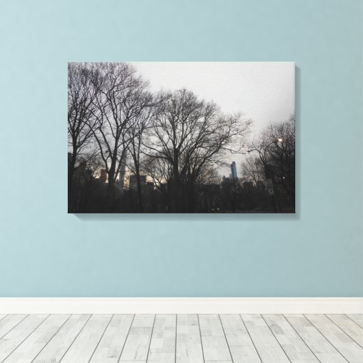 Central Park, New York City, Verenigde Staten Canvas Afdruk (Insitu (Houten vloer))