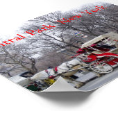 Central Park / New York Poster (Hoek)