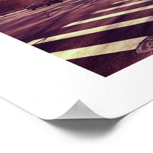 CENTRAL PARK NEW YORK POSTER (Coin)