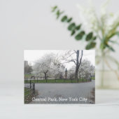 Central Park New York Springtime pad met bomen Briefkaart (Staand voorkant)