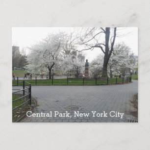 Central Park New York Springtime pad met bomen Briefkaart