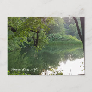 Central Park New York Turtle Pond in de zomer Briefkaart