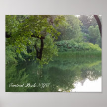 Central Park New York Turtle Pond in zomer