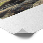 Central Park, NY Poster (Hoek)