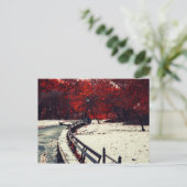 Central Park, NYC Briefkaart (Staand voorkant)