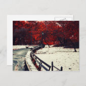 Central Park, NYC Briefkaart (Voorkant / Achterkant)