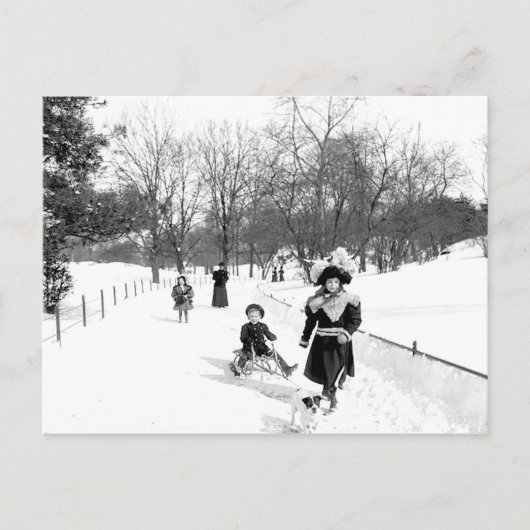 Central Park NYC Briefkaart 1900 (Voorkant)
