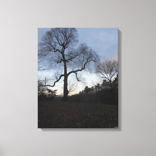Central Park. NYC Canvas Afdruk (Voorkant)