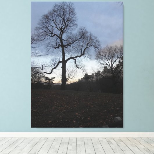 Central Park. NYC Canvas Afdruk (Insitu (Houten vloer))