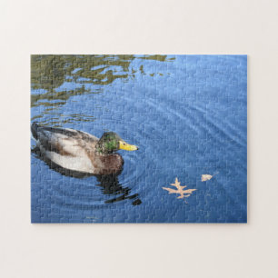 Central Park NYC Conservatory Water Mallard Duck Legpuzzel