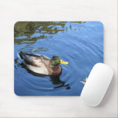 Central Park NYC Conservatory Water Mallard Duck Muismat (Met muis)