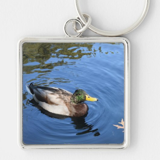 Central Park NYC Conservatory Water Mallard Duck Sleutelhanger (Voorkant)