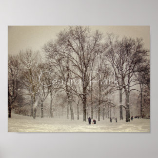 Central Park, NYC Poster