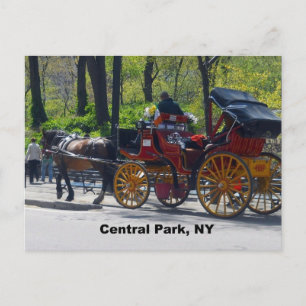 Central Park, Paarden en Vervoer Briefkaart