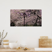 Central Park Poster (Keuken)