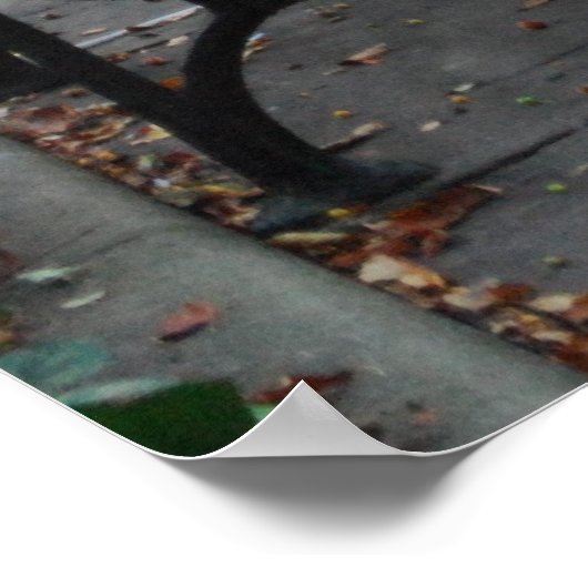 Central Park Poster (Hoek)