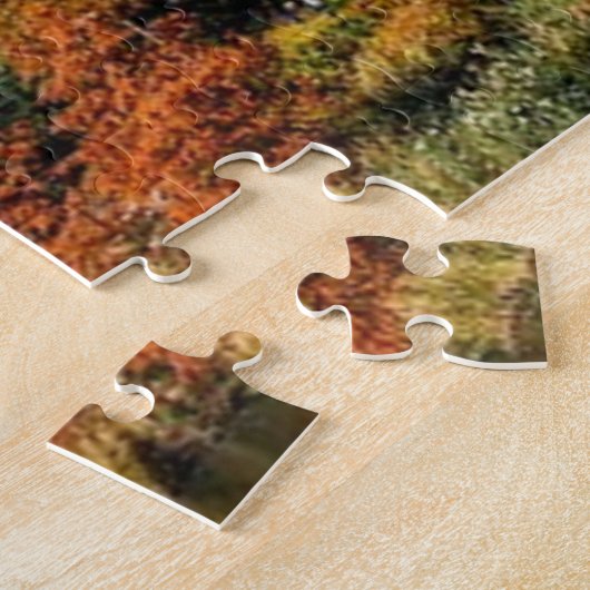 CENTRAL PARK PUZZLE (Côté)