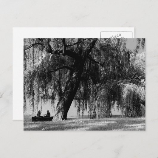 Central Park Rowbots Briefkaart (Voorkant / Achterkant)