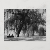 Central Park Rowbots Briefkaart (Voorkant)