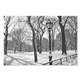 Central Park Snowfall B&W Foto Afdruk