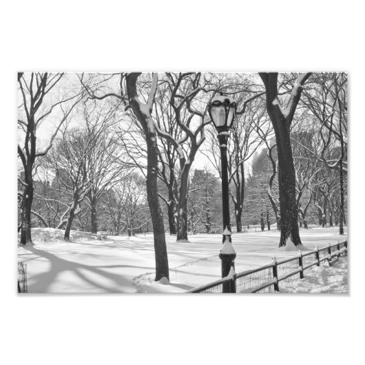 Central Park Snowfall B&W Foto Afdruk (Voorkant)