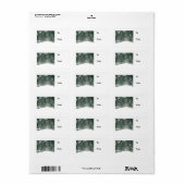 Central Park Snowy Path Etiket (Full Sheet)