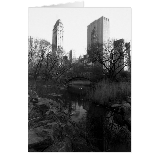 Central Park South Skyline NYC (Devant)