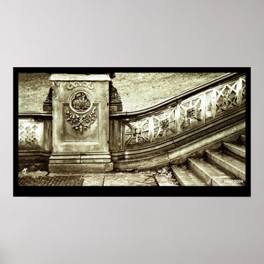 Central Park Stairs Poster (Voorkant)