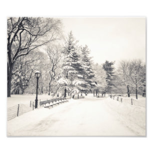 Central Park Winter Path - New York City Foto Afdruk