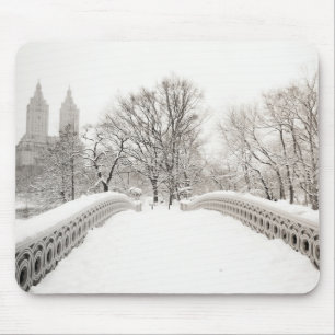 Central Park Winter Romance - Bodembrug Muismat