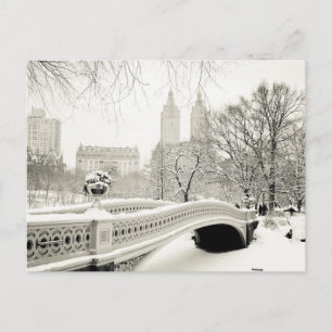 Central Park Winter - Sneeuwbrug Briefkaart