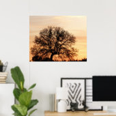 Central Texas Sunset Poster (Thuiskantoor)