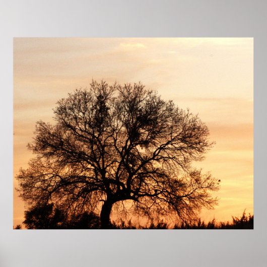 Central Texas Sunset Poster (Voorkant)