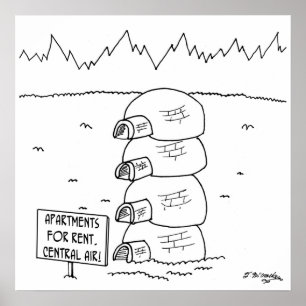 Centrale lucht in Igloos Poster