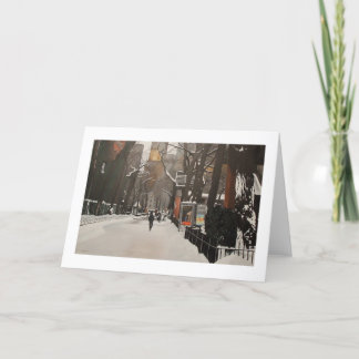 CENTRALE PARK ZOO IN DE SNEE KAART