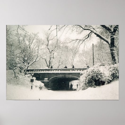 centrale parkbrug poster (Voorkant)